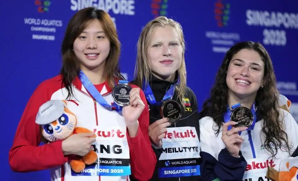 borde, color, 才被释放