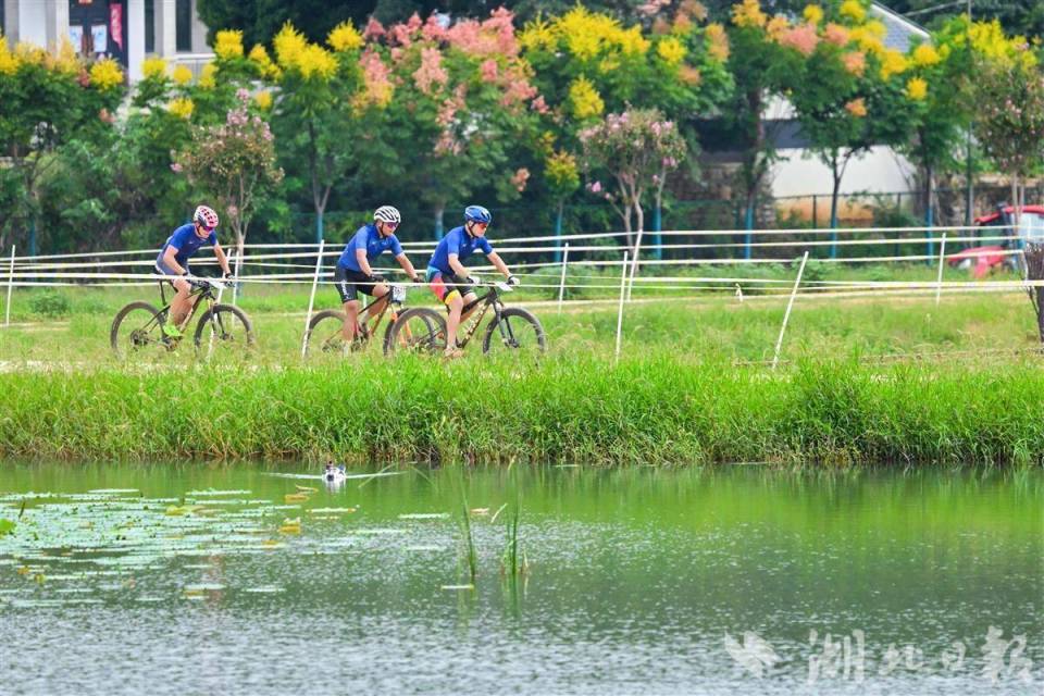 ij, 山地自行车